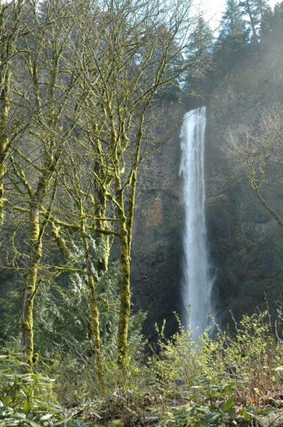 multnomahfalls8.jpg