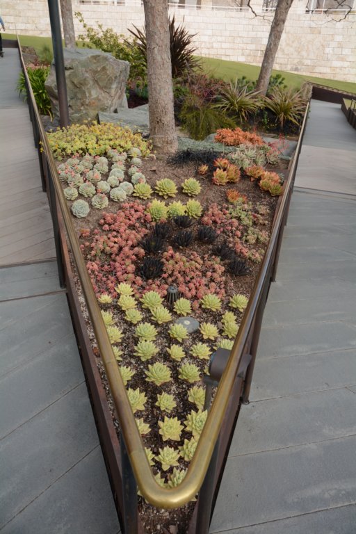 lotsofsucculentsinthelandscaping.jpg