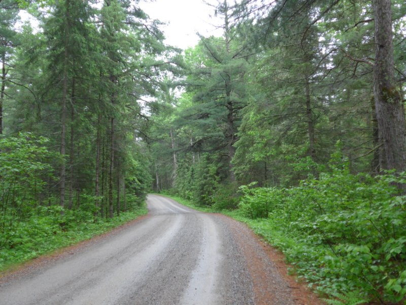 bearheadlakestateparkintheearlymorning.jpg