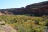 weturnedoffi70ontorte128andjustjoinedthecoloradoriverthegrandcanyonisacoupleofhundredmilesdownstream_small.jpg