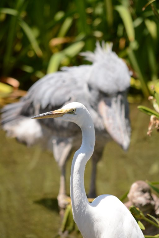 greategret.jpg